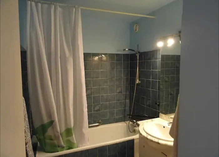 Port Dauphin Ii,t3 Centre Port Avec Parking, Piscine, Clim, Wifi Appartement Agde