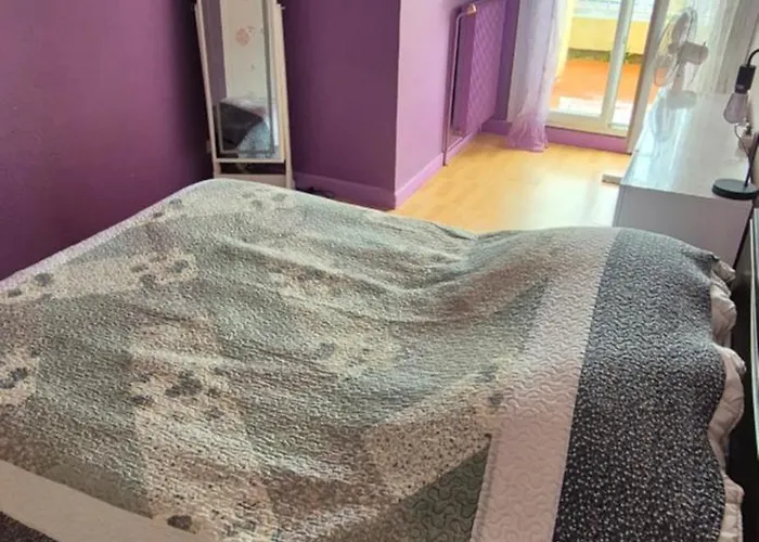 Port Dauphin Ii,t3 Centre Port Avec Parking, Piscine, Clim, Wifi Appartement Agde